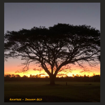 Rain Tree Design Women Design