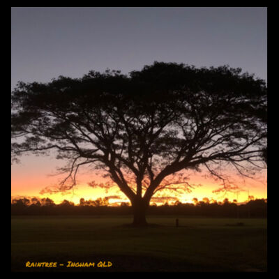 Rain Tree Design  Design