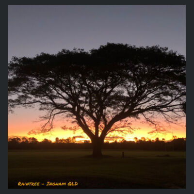 Rain Tree Design  Design