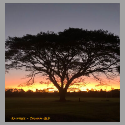 Rain Tree Design  Design